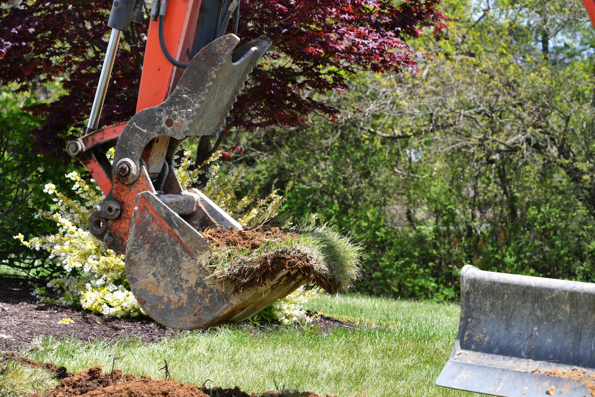 Backhoe scoop digging up soil dirt sod grass in a lawn yard.