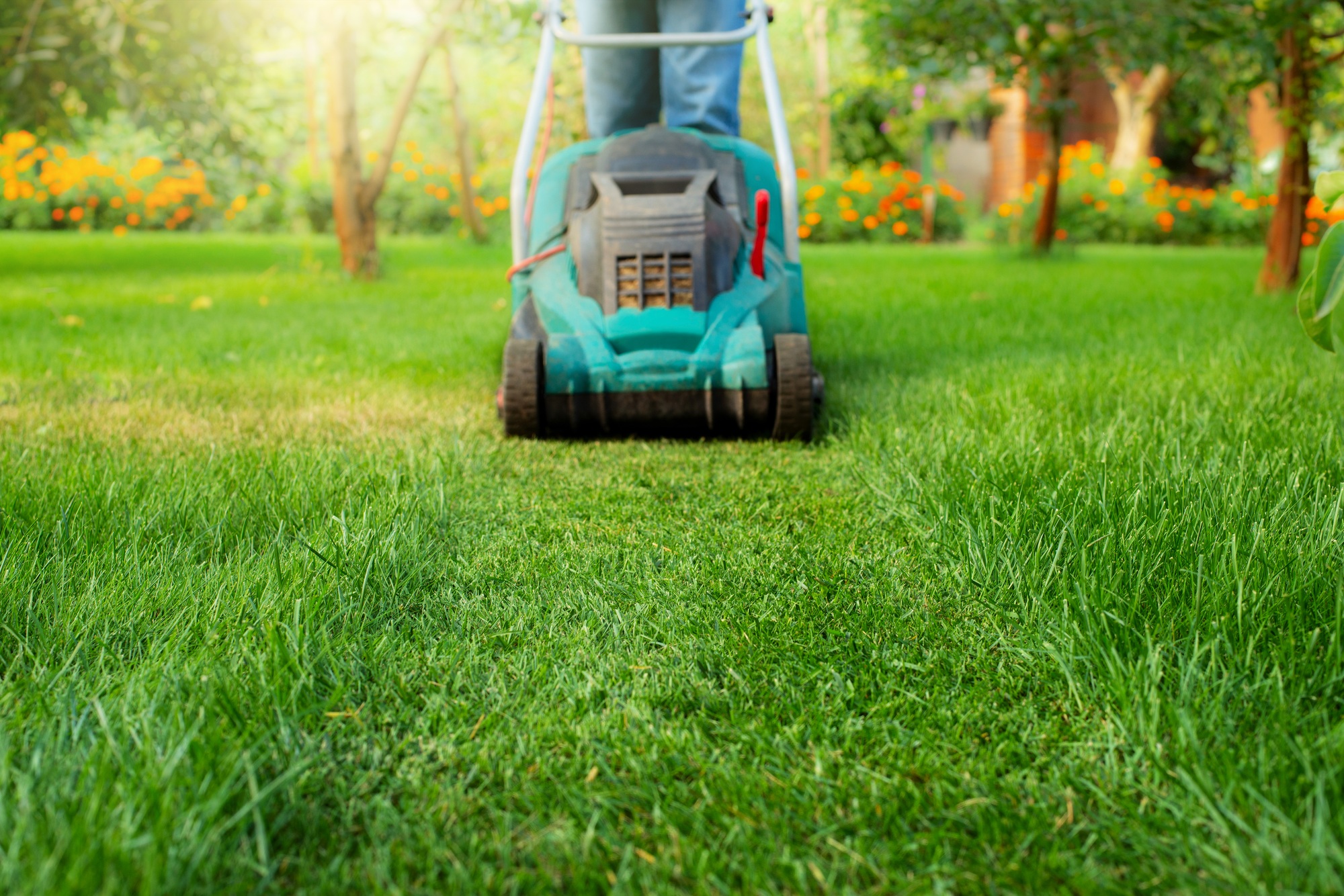 Man pushing lawn mower. Lawn care background, place for text