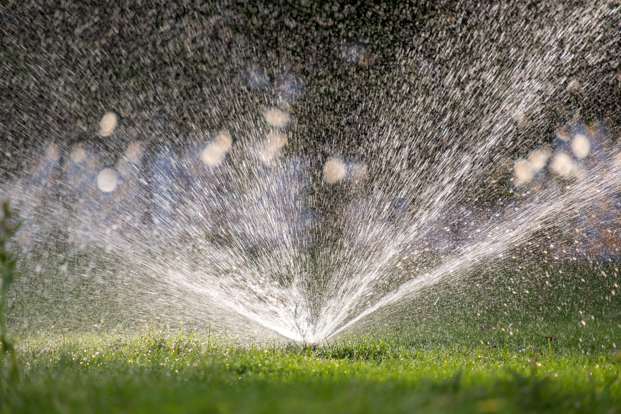 Plastic sprinkler irrigating grass lawn with water in summer garden. Watering green vegetation